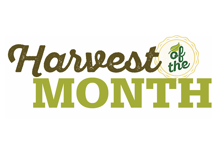 Harvest_of_the_Month_blog.jpg