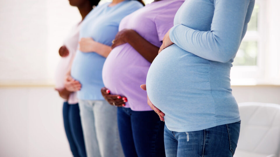 Pregnant Woman Group In Row