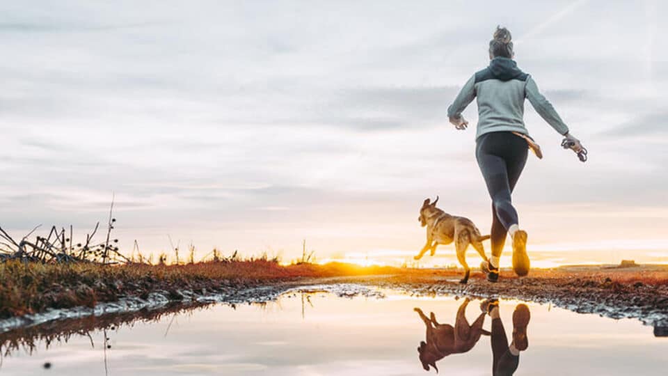 Female Runner With Her Dog Running At Sunset On The Country Side