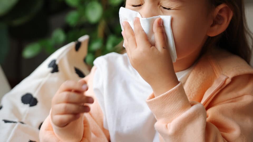 Little Girl Gets Cold And Blows Her Nose At Home.